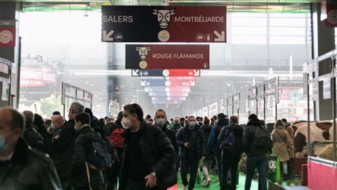 « E. Macron veut-il encore de l'élevage bovin en France », demande la FNB