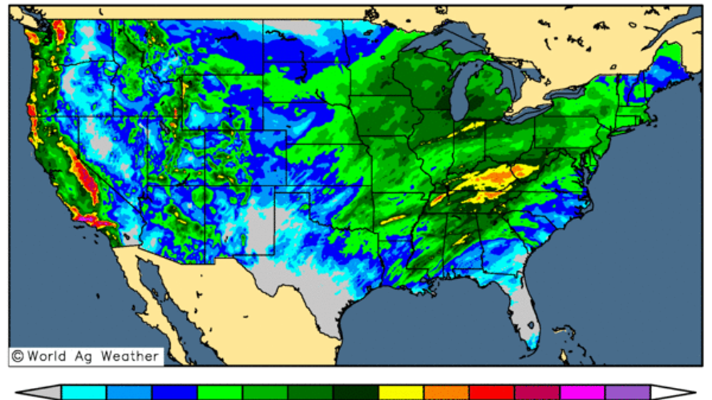 Les précipitations ont fait du bien aux blé d'hiver US. (©WorldAgWeather)