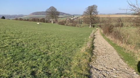  Gautier Fihue a utilisé de la marne et des cailloux boulonnais pour réaliser ses chemins d'accès au pâturage. (©Terre-net Média)