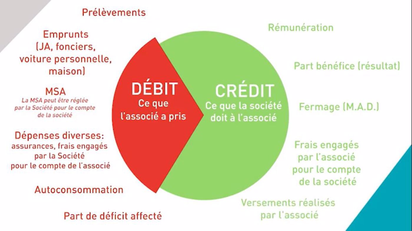 Comptabilité, gestion comprendre le compte courant associé