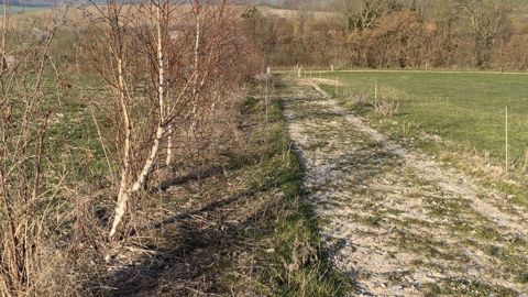 De la craie et des cailloux du boulonnais : ce sont les matériaux choisis par Gautier Fihue pour réaliser ses chemins. (©Terre-net Média)