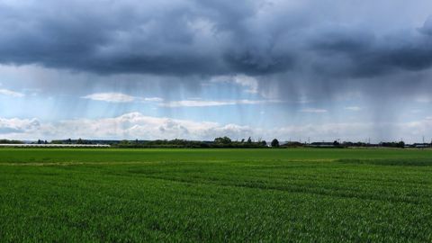 Les pluies régulières favorisent le développement des cultures en France. (©PixaBay) Les pluies régulières favorisent le développement des cultures en France. (©PixaBay)