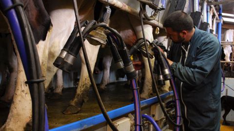 Sur les onze premières semaines de l'année, la collecte de lait français est bien en deça de son niveau de 2022 et 2021 sur la même période. (<a href="https://stock.adobe.com/fr/contributor/296904/ariane-citron?load_type=author&prev_url=detail" target="_blank">©Ariane Citron</a>, AdobeStock) Sur les onze premières semaines de l'année, la collecte de lait français est bien en deça de son niveau de 2022 et 2021 sur la même période. (<a href="https://stock.adobe.com/fr/contributor/296904/ariane-citron?load_type=author&prev_url=detail" target="_blank">©Ariane Citron</a>, AdobeStock)
