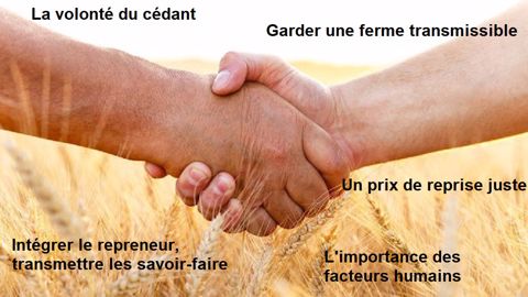 Voici ce que prêchent plusieurs cédants pour réussir la transmission d'une exploitation agricole. (©Fotolia // Création Terre-net Média) Voici ce que prêchent plusieurs cédants pour réussir la transmission d'une exploitation agricole. (©Fotolia // Création Terre-net Média)