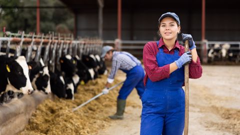 « En lait, les jeunes installés parviennent à améliorer leur productivité sans dégrader leur rentabilité mais au prix d'une capitalisation multipliée par deux », indique une étude du CER France en Bourgogne-Franche-Comté. (©Adobe Stock) « En lait, les jeunes installés parviennent à améliorer leur productivité sans dégrader leur rentabilité mais au prix d'une capitalisation multipliée par deux », indique une étude du CER France en Bourgogne-Franche-Comté. (©Adobe Stock)