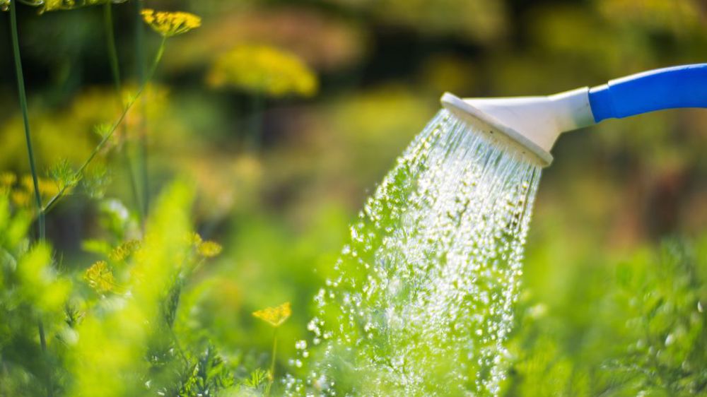 La Confédération paysanne veut interpeller les autorités françaises sur le rôle des méga-bassines dans la crise de l'eau, en saissisant l'ONU. (©Adobe Stock)<span style="color: #000000; font-size: 14px; text-align: justify;"><br />