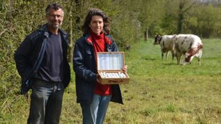Pour Marina et Antony Bureau, éleveurs laitiers (49), « les vaches ont un équilibre qu’il faut réguler, tout doit se raisonner globalement » (©Antoine Humeau)