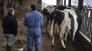 La mutuelle proposée par Innoval vient en complément de l'offre garantie du sanitaire à laquelle tous les adhérents ont droit. (©Terre-net Média) La mutuelle proposée par Innoval vient en complément de l'offre garantie du sanitaire à laquelle tous les adhérents ont droit. (©Terre-net Média)