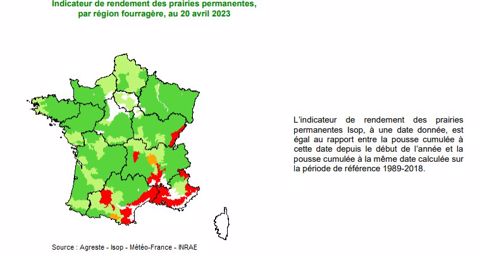 Pousse de l'herbe en France au 20 avril 2023