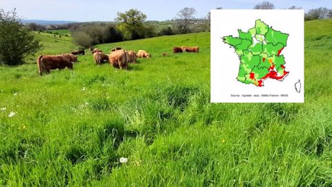 En avril, la production d'herbe est supérieure de 15 % à la moyenne