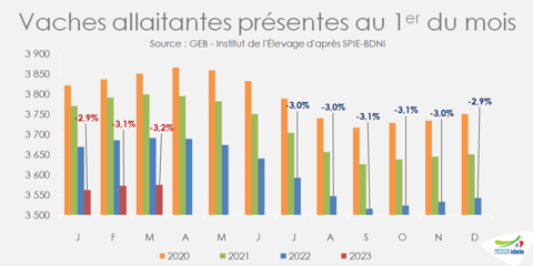 Vaches allaitantes présentes au 1er du mois