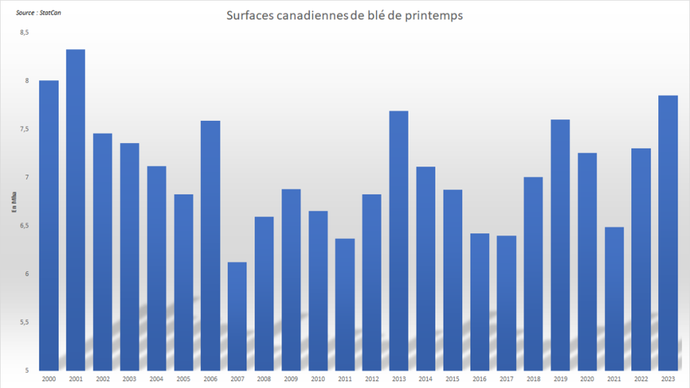 StatCan annonce les plus hautes surfaces canadiennes de blé en plus de vingt ans.