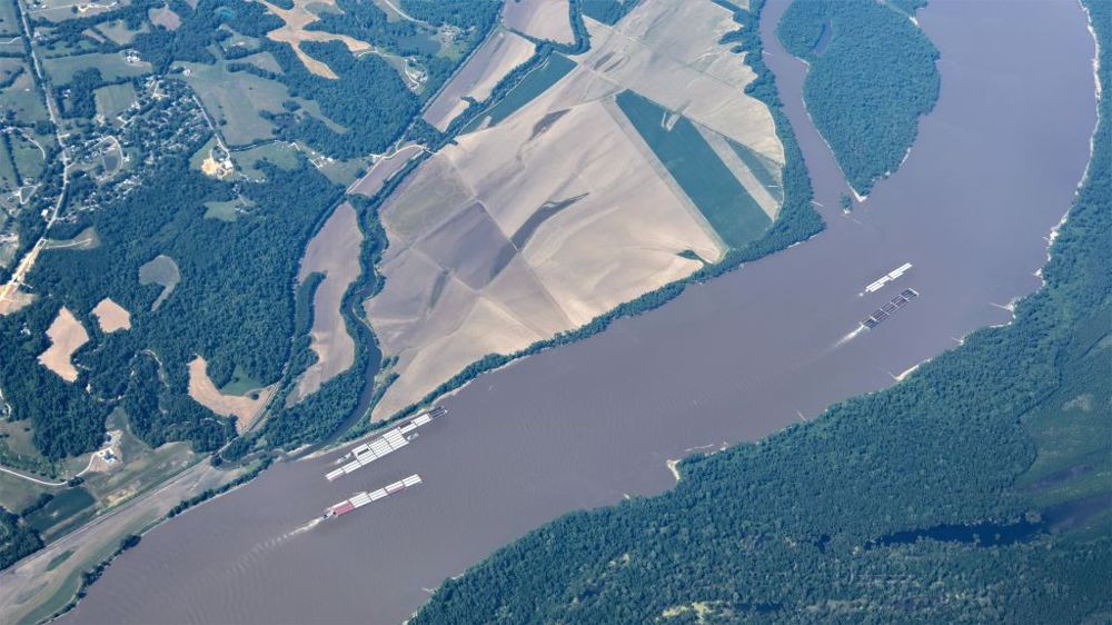 Plus de 60 % des céréales US destinées à l'export sont transportées sur le Mississippi. (<a href="https://stock.adobe.com/fr/contributor/207685136/kent?load_type=author&prev_url=detail" target="_blank">©Kent</a>, AdobeStock)