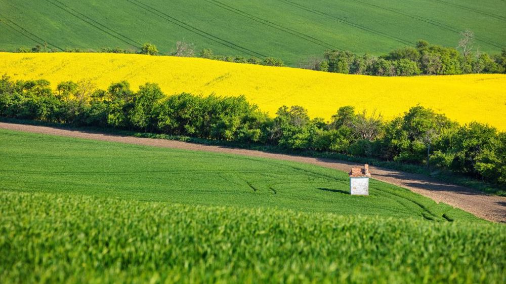 La loi pour un choc de compétitivité de la « ferme France » a été adoptée par la Commission des affaires économiques du Sénat . (©AdobeStock)