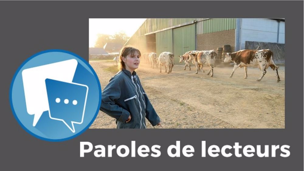 Et vous, votre opinion ? N'hésitez pas à réagir sous l'article ! (© Photo <a class="blue science-text js-contributor-link" href="https://stock.adobe.com/fr/contributor/208628952/s-leitenberger?load_type=author&prev_url=detail" data-ingest-clicktype="details-contributor-link">S. Leitenberger</a> // Création Terre-net Média)