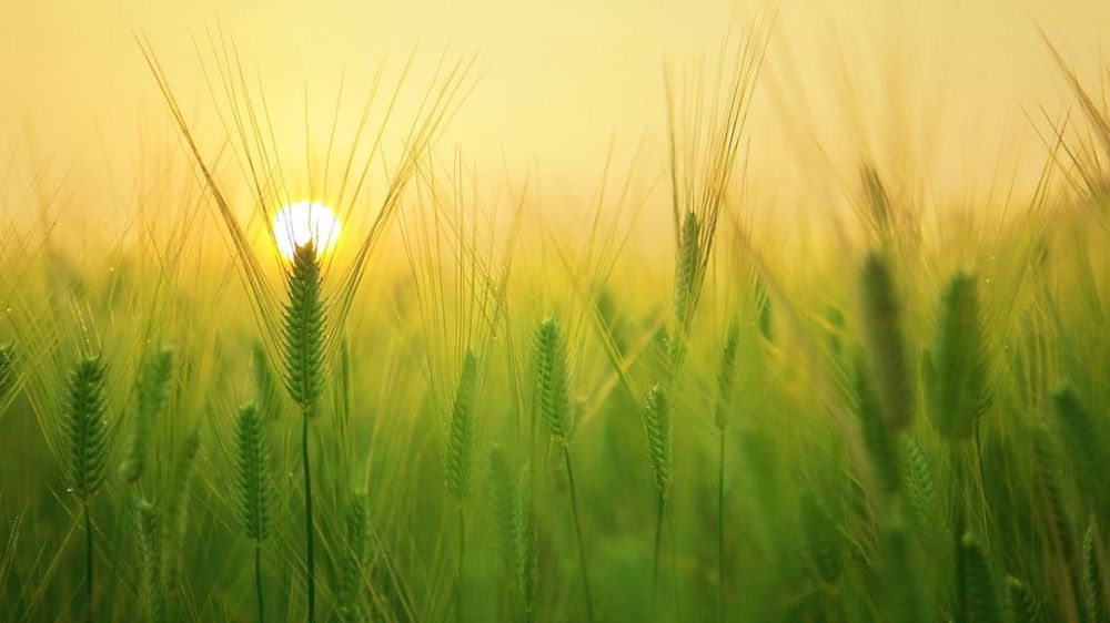 Le soleil devrait être de retour en France ces prochains jours. (©Pixabay)