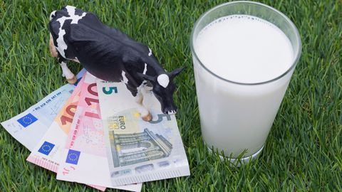 L'installation se réfléchit sur le long terme : le prix du lait impacte peu le nombre et le coût des projets. (©Pixabay) L'installation se réfléchit sur le long terme : le prix du lait impacte peu le nombre et le coût des projets. (©Pixabay)
