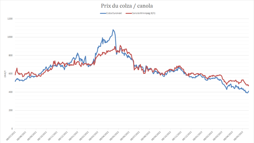 Le colza UE gagne en compétitivité.