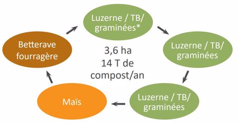 Rotation avec de la luzerne