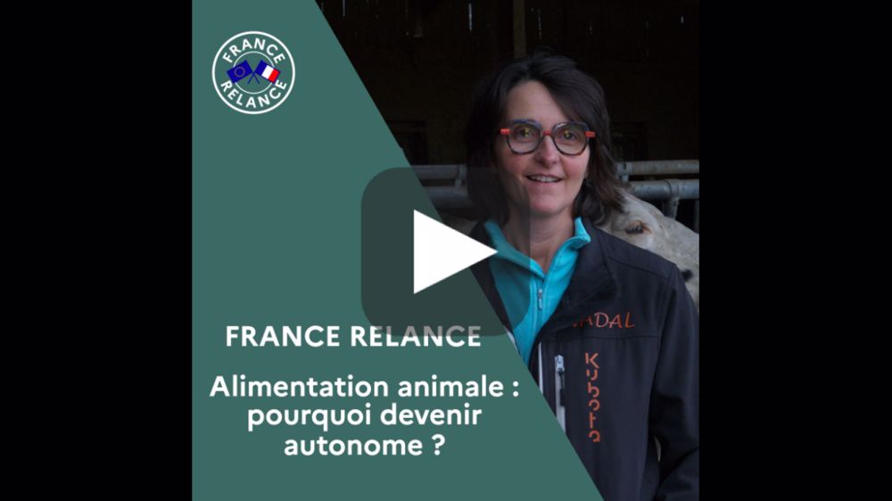 La satisfaction d'être autonome en élevage grâce aux protéines végétales 
