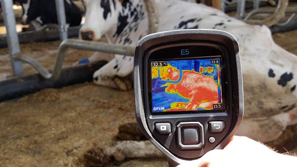 Limiter le stress thermique avec les matelas à poche d’eau AQUASTAR – AQUACLIM