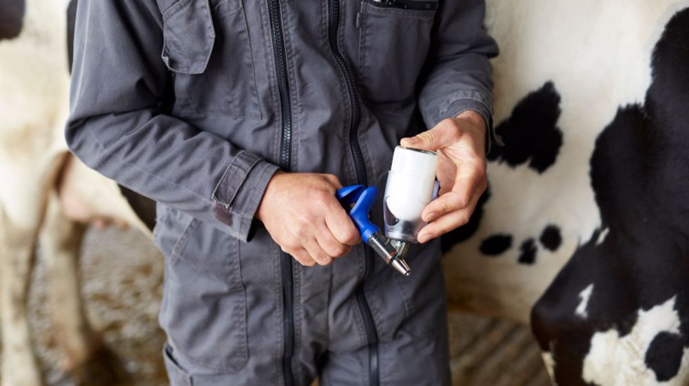 Les oligo-éléments participent à la production et à l’activation des cellules immunitaires.