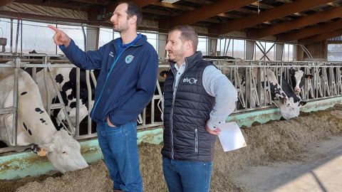 L’aliment d’allaitement Elvor HP à volonté pour diminuer l'âge au vêlage