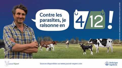 C’est si simple de mieux traiter avec le protocole 4-12 pour vos génisses au pré