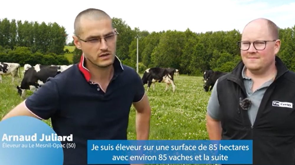 Un parasite d’été qui déborde parfois l'immunité