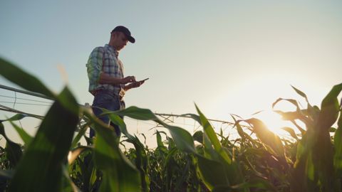L’agroécologie, au secours des marges L’agroécologie, au secours des marges