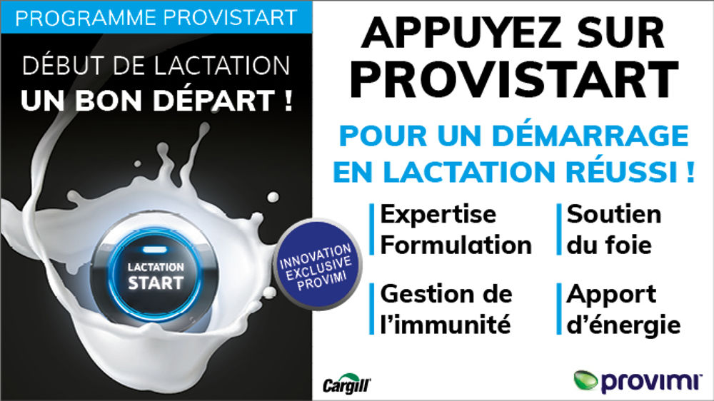 Investir au début de la lactation pour améliorer la rentabilité de votre élevage