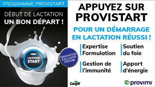 Investir au début de la lactation pour améliorer la rentabilité de votre élevage