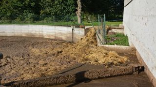 Sans couverture, une partie de l'ammoniac contenu dans le lisier est volatilisé.