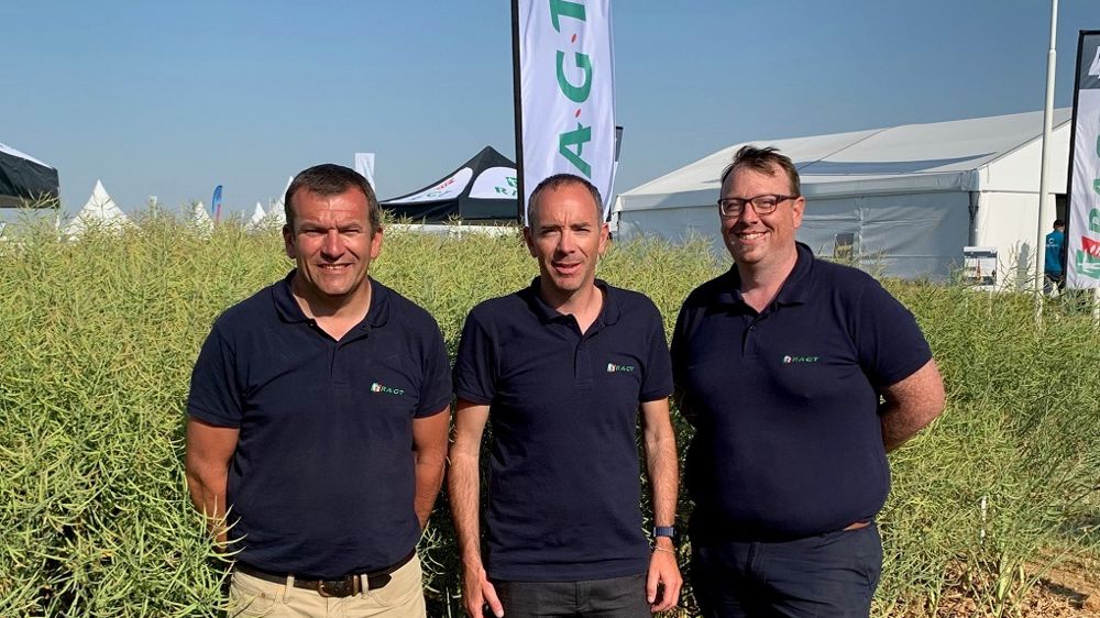 RAGT Semences présente le label "Oil +" pour les variétés de colza particulièrement riches en huile. De gauche à droite : Samuel Dubois, chef marché hybrides, Sylvain Guedou, directeur commercial et Gilles Yvart, responsable marketing multi-espèces.
