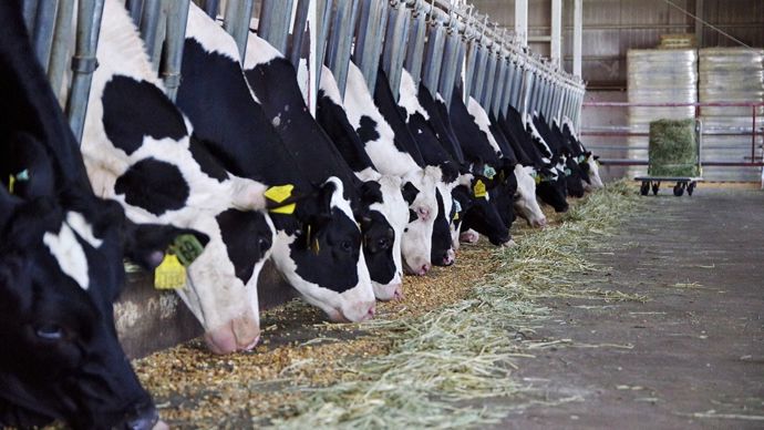 En 30 ans, la structure est passée de 2 à 5 UTAF, de 250 000 l à 1,2 Ml de lait et de 150 à 400 ha.