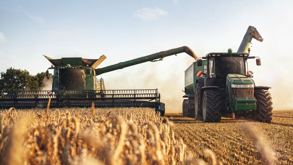 Environ 17 Mt de blé récoltés en France en 2022 ont été exportés, et 14 Mt ont été utilisés sur le marché français.