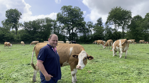 La Simmental, une vache multifonction La Simmental, une vache multifonction