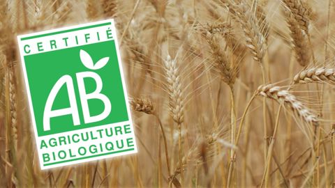 Le Gers est le premier département bio de France avec 30 % des agriculteurs et 25 % de la surface agricole. Le Gers est le premier département bio de France avec 30 % des agriculteurs et 25 % de la surface agricole.