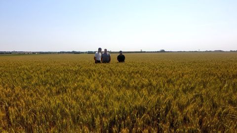 Le négoce Lamy-Bienaimé développe l'apport d'algues pour protéger les cultures des maladies. Le négoce Lamy-Bienaimé développe l'apport d'algues pour protéger les cultures des maladies.