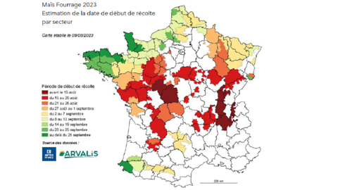 Si les dates de début de chantier sont retardées de quelques jours par endroits, Arvalis envisage les premières récoltes de maïs ensilage avant le 15 août 2023. Si les dates de début de chantier sont retardées de quelques jours par endroits, Arvalis envisage les premières récoltes de maïs ensilage avant le 15 août 2023.