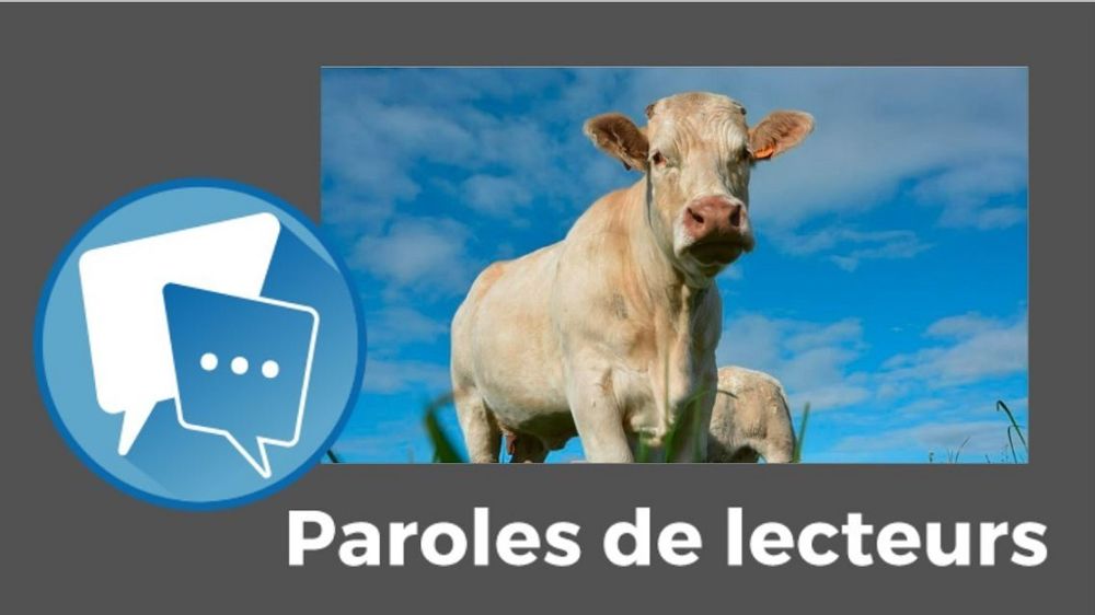 Votre avis sur les revenus en élevage allaitant ? N'hésitez pas à commenter cet article !