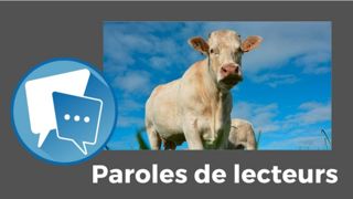 Votre avis sur les revenus en élevage allaitant ? N'hésitez pas à commenter cet article !