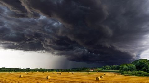Les pluies bénéficient aux cultures de printemps mais ralentissent les dernières moissons de blé d'hiver. Les pluies bénéficient aux cultures de printemps mais ralentissent les dernières moissons de blé d'hiver.