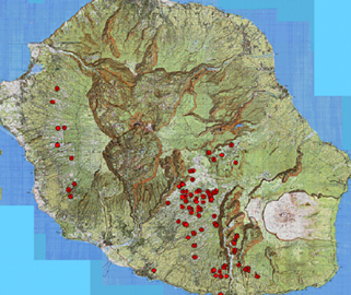 La collecte laitière à La Réunion