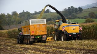 Pour l'ensilage de maïs, accorder une attention toute particulière à la longueur des brins et l'éclatement des grains.