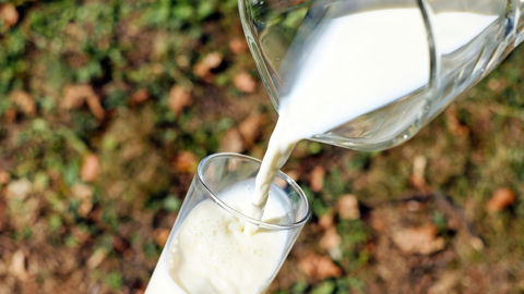 La production laitière française de lait est en baisse de 2,4 % par rapport à 2022 sur les sept premiers mois de l'année, quand celle de l'UE a augmenté de 0,8 %. La production laitière française de lait est en baisse de 2,4 % par rapport à 2022 sur les sept premiers mois de l'année, quand celle de l'UE a augmenté de 0,8 %.