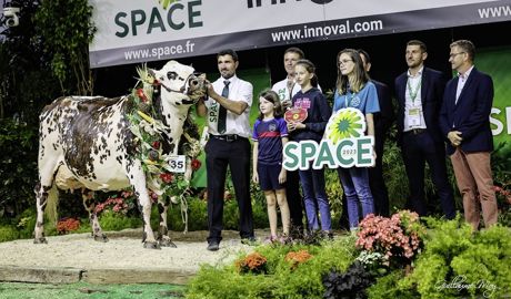 Olande, grande championne de la race Normande au Space 2023 Olande, grande championne de la race Normande au Space 2023