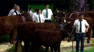 Concours interrégional Salers