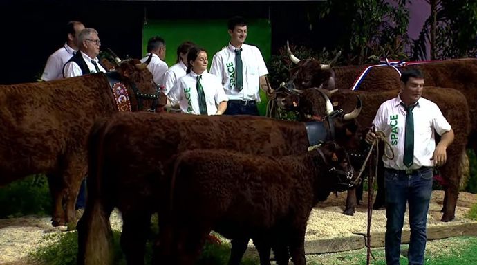 Concours interrégional Salers