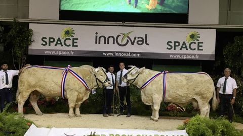 Helena et Prince, les grands champions du concours Charolais du Space 2023 Helena et Prince, les grands champions du concours Charolais du Space 2023